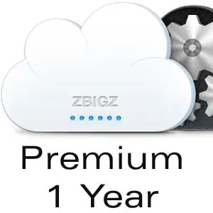 Zbigz Premium 1 Year