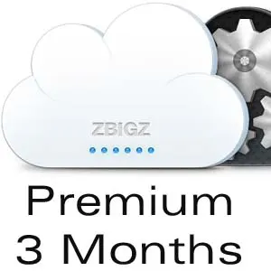 Zbigz Premium 3 Months