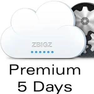 Zbigz Premium 5 Days