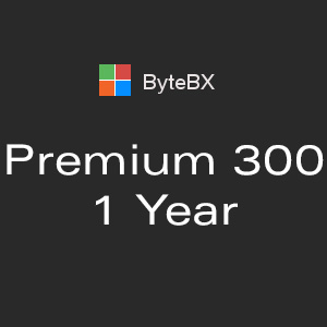 ByteBX Premium 300 - 1 year