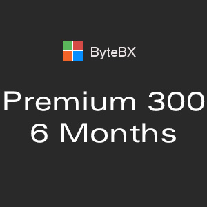 ByteBX Premium 300 - 6 months