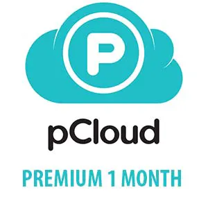pCloud Premium 1 Month