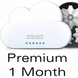 Zbigz Premium 1 Month